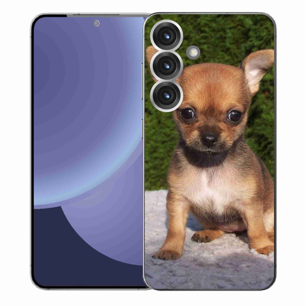 Gél borítás mmCase Samsung Galaxy S25+ - chihuahua 3
