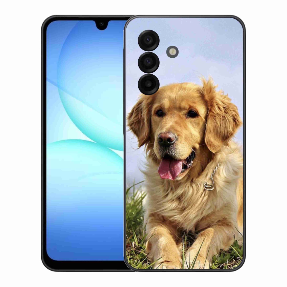 Gél borítás mmCase Samsung Galaxy A17 5G - arany retrieverhez