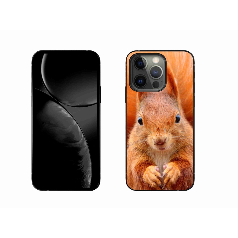 Zselés borítás mmCase iPhone 13 Pro 6.1 készülékhez - mókus