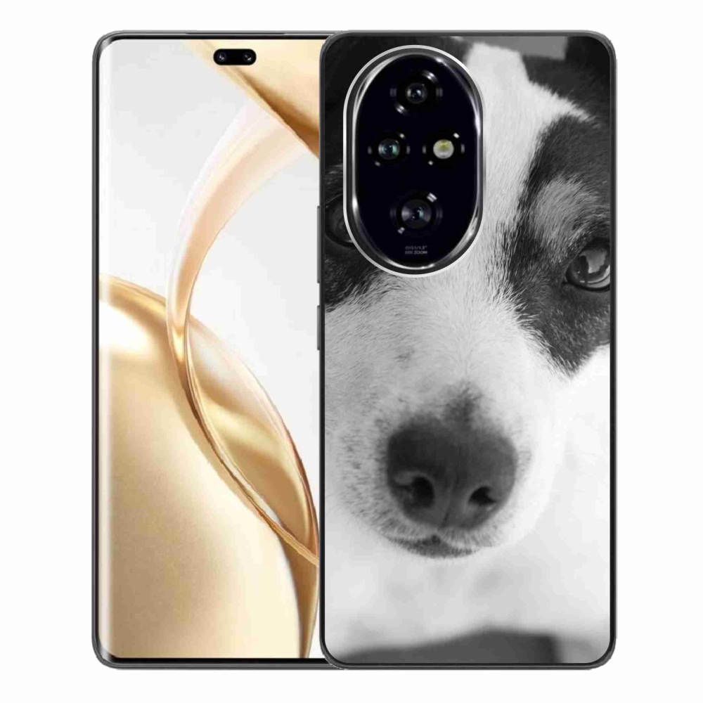Zselés borítás mmCase a Honor 200 Pro 5G készülékhez - kutya