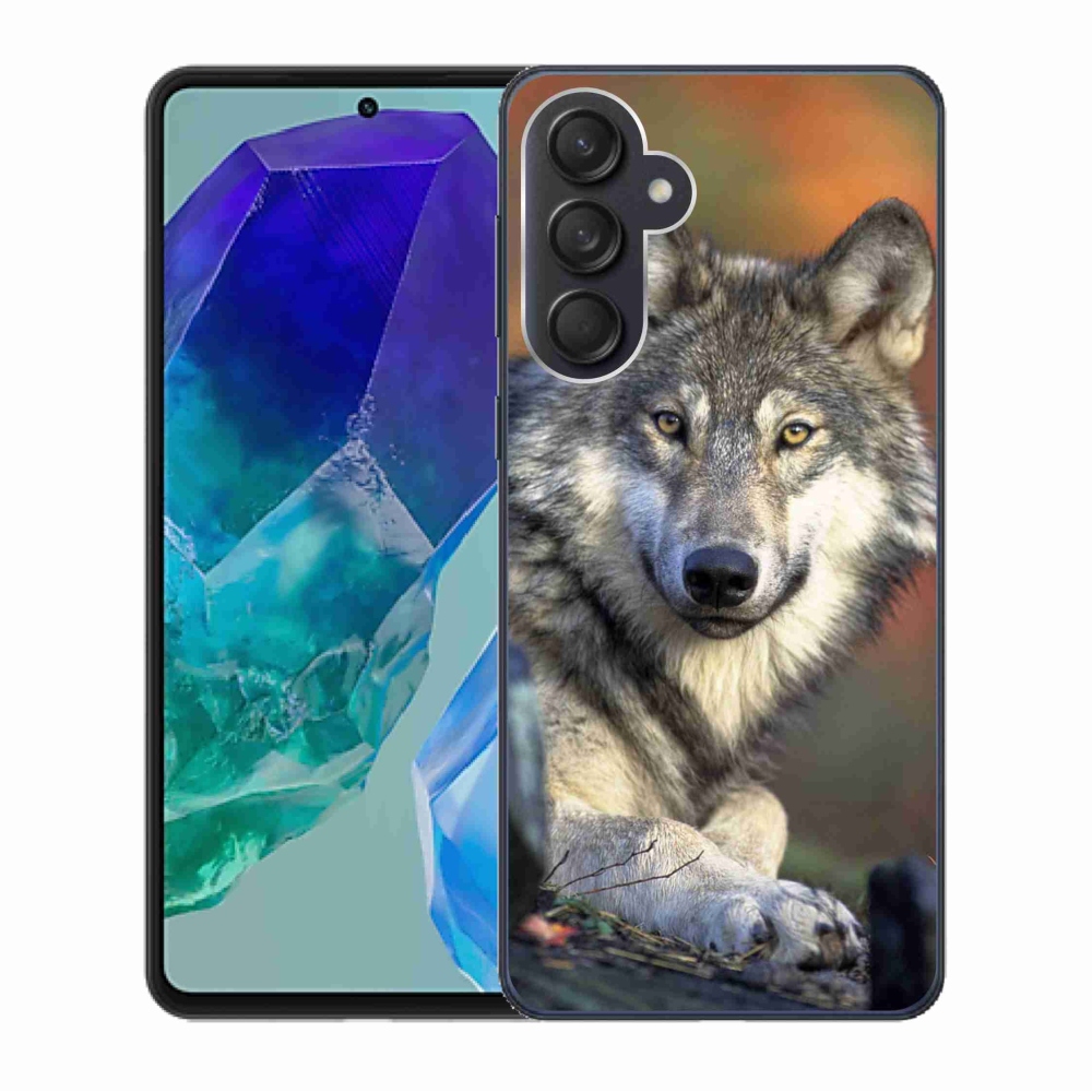 Gél tok mmCase a Samsung Galaxy M55 5G készülékhez - farkas