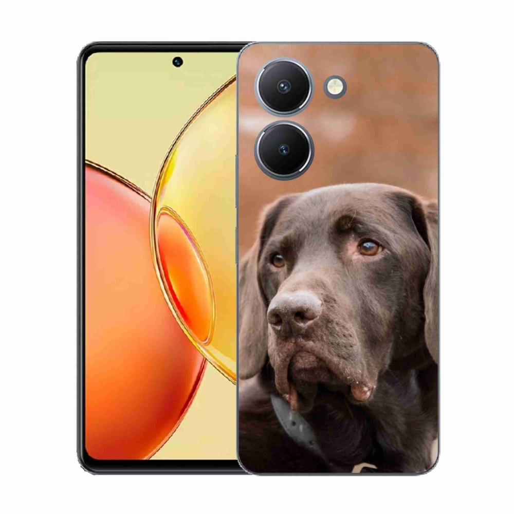 Gél borítás mmCase a Vivo Y36-hoz - barna labrador