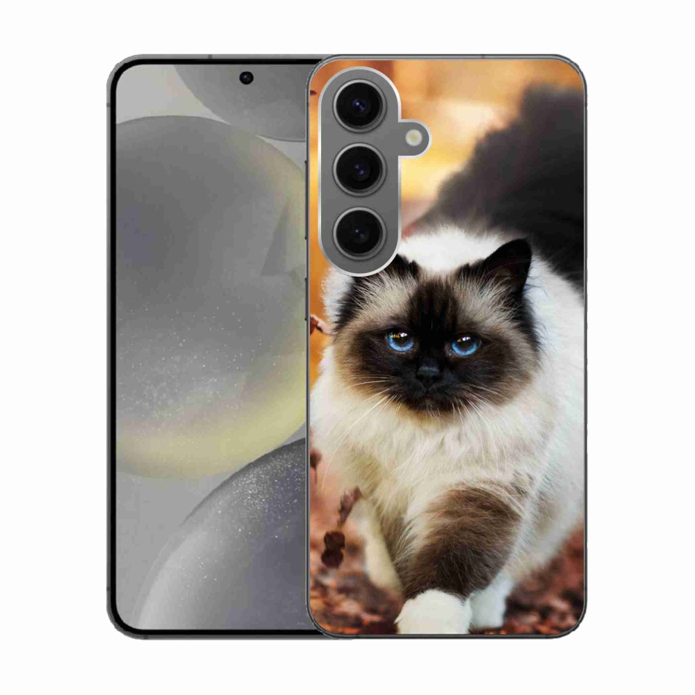 Gél tok mmCase Samsung Galaxy S24 készülékhez - macska
