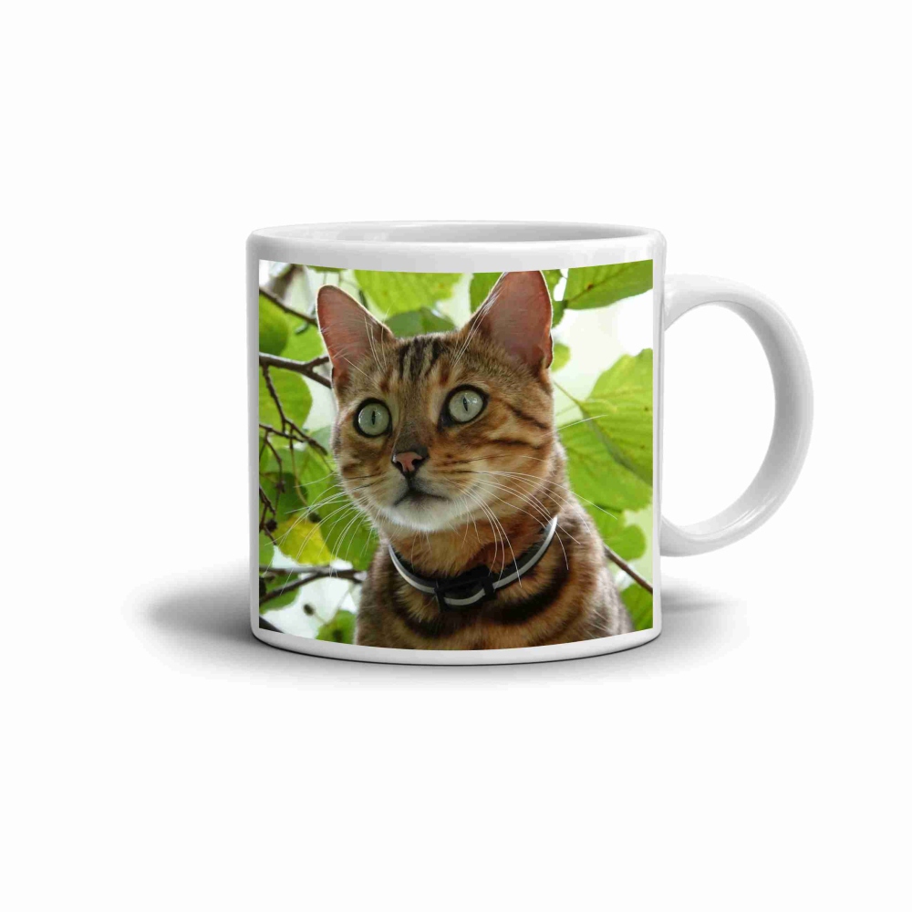 Fehér kerámia bögre 330ml képpel - bengáli macska a természetben