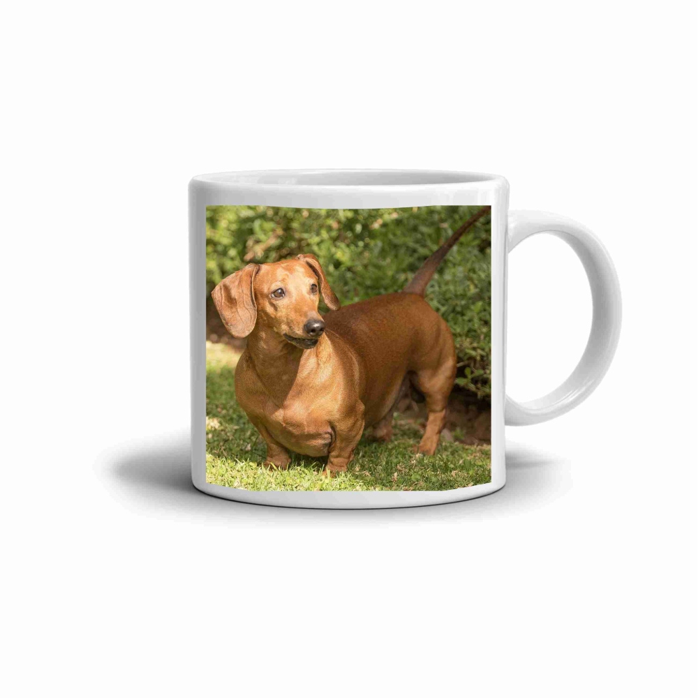 Fehér kerámia bögre 330ml képpel - Tacskó