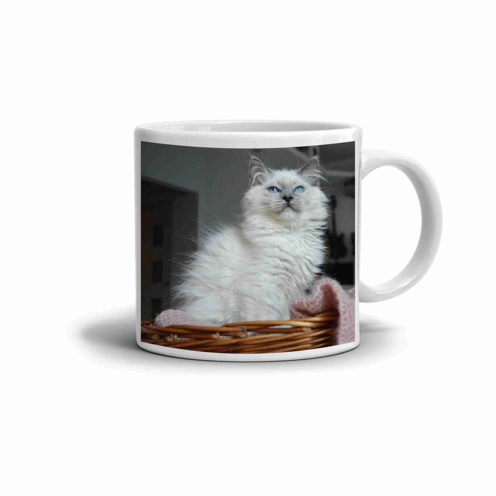 Fehér kerámia bögre 330ml képpel - Ragdoll az ágyban