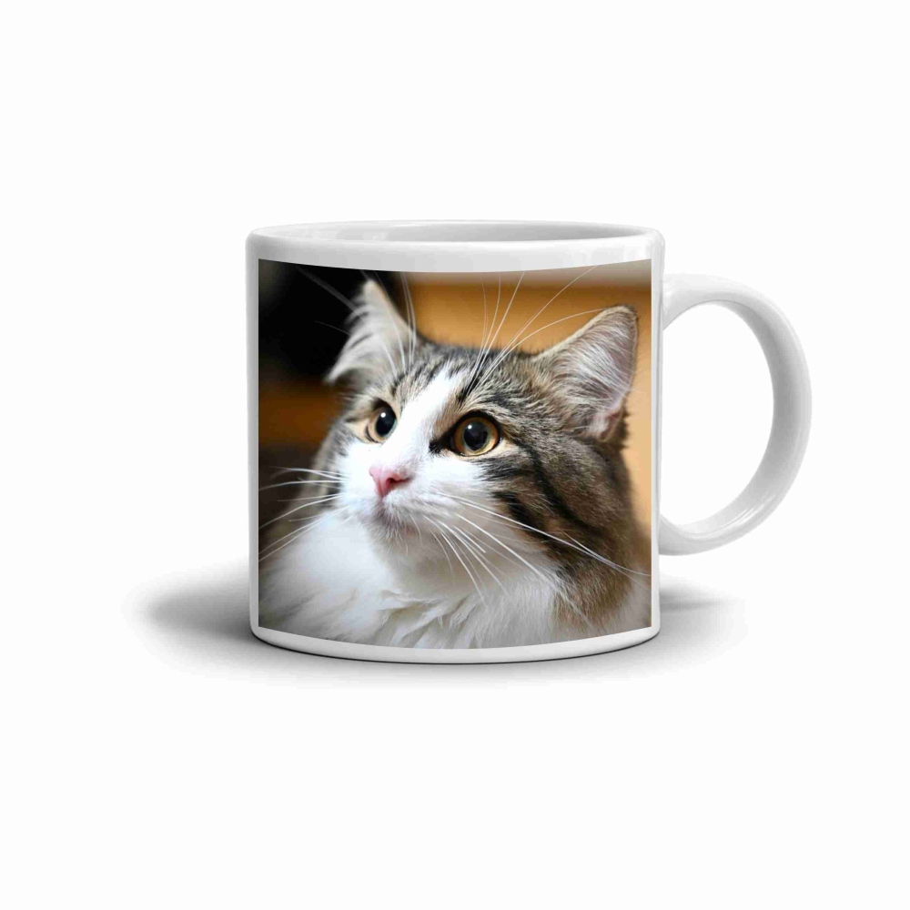 Fehér kerámia bögre 330ml képpel - aranyos hosszú szőrű macska