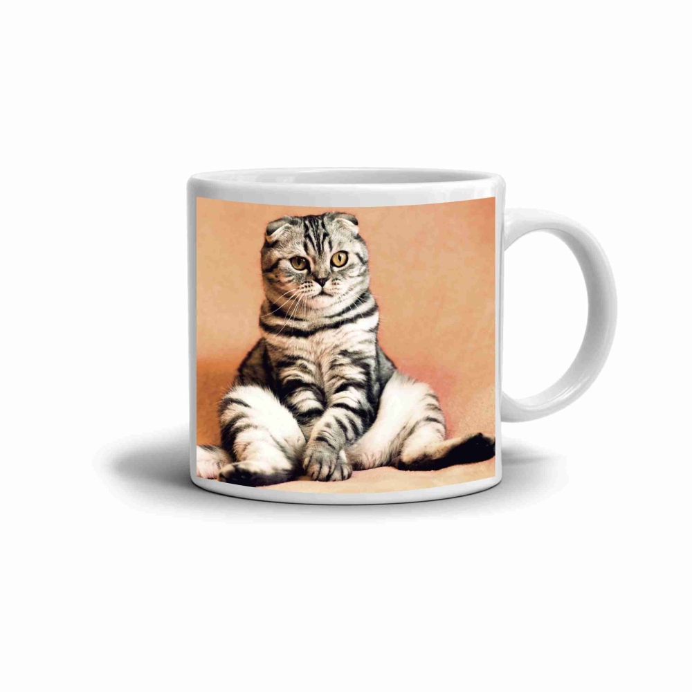 Fehér kerámia bögre 330ml képpel - ülő skót lógófülű macska