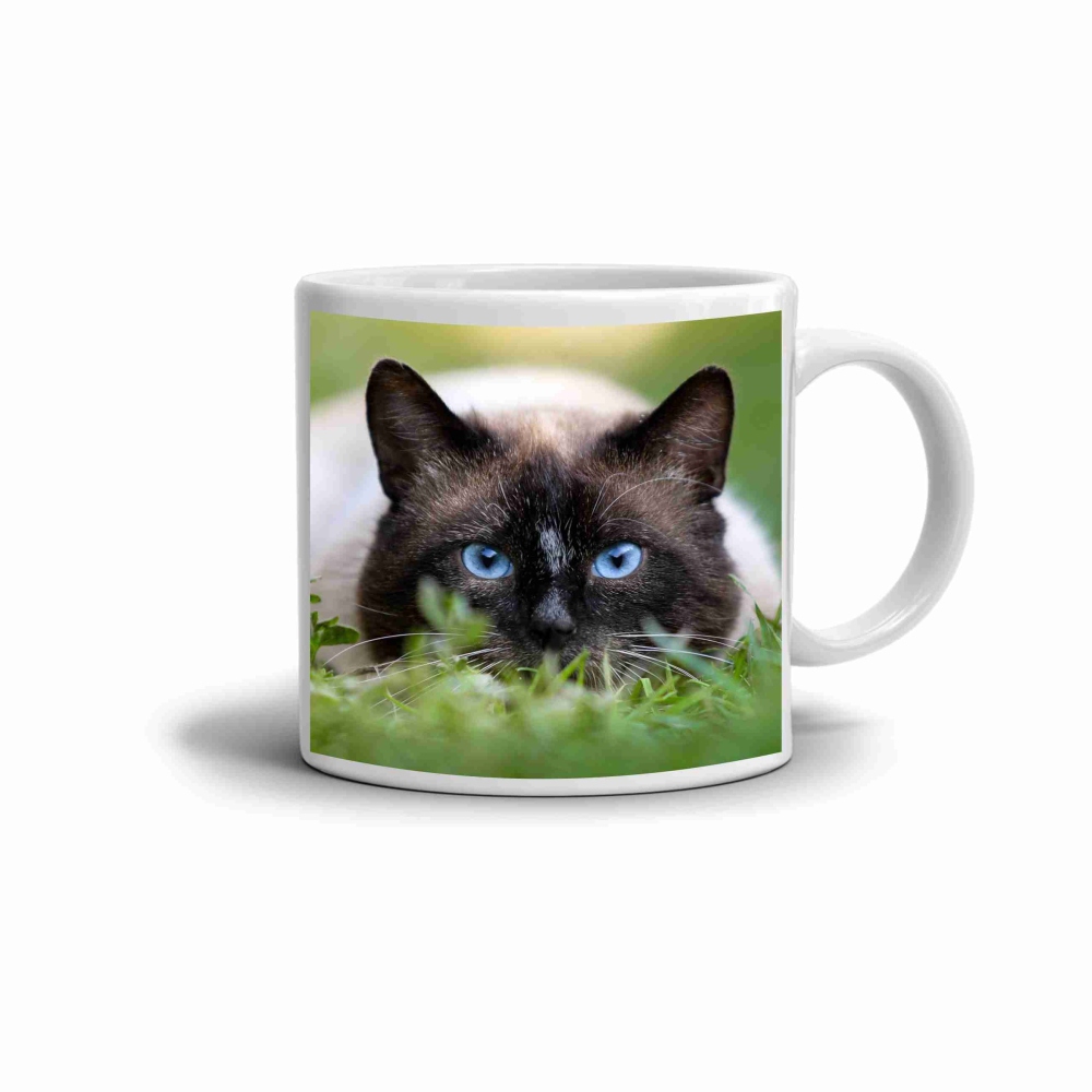 Fehér kerámia bögre 330ml képpel - Sziámi macska a fűben