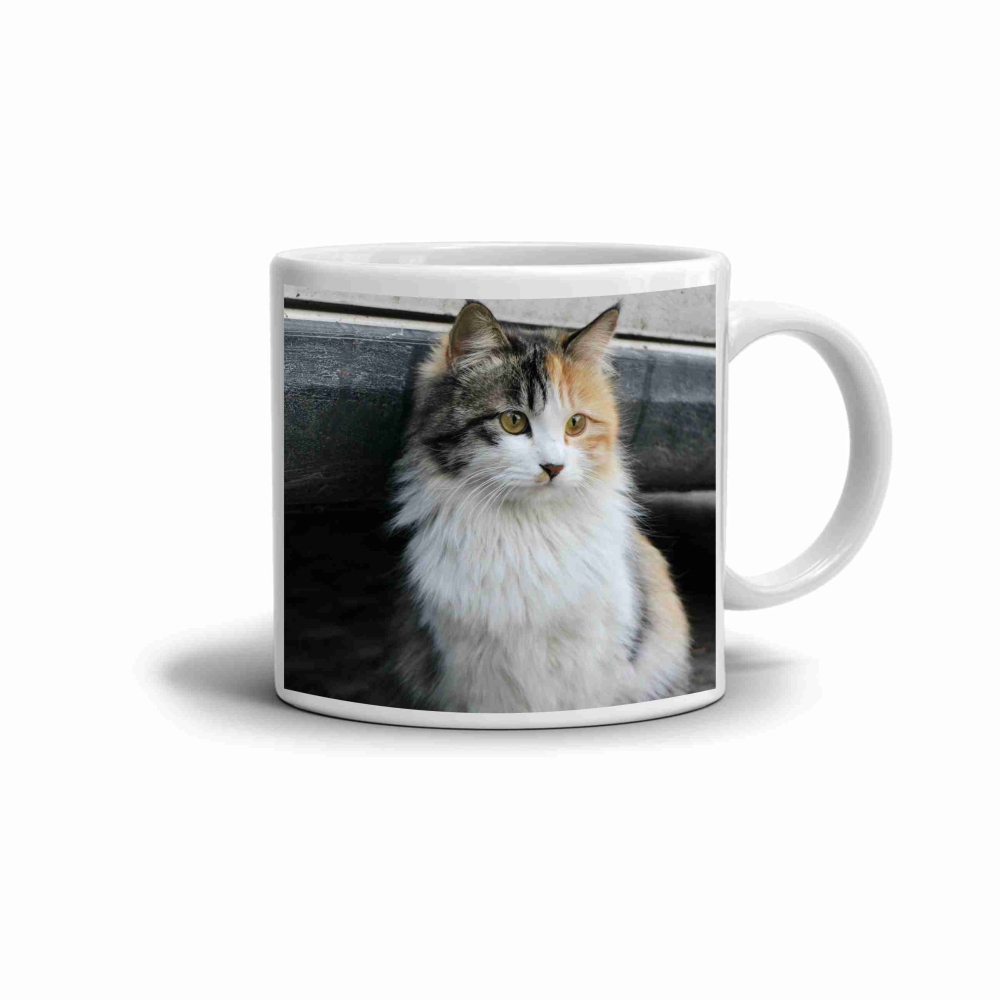 Fehér kerámia bögre 330ml képpel - háromszínű macska szépség