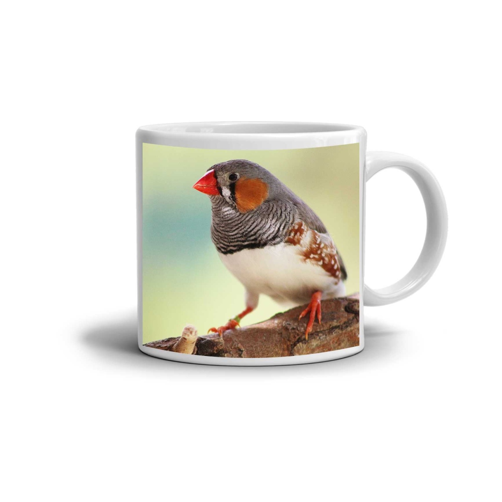 Fehér kerámia bögre 330ml képpel - zebrapintyek