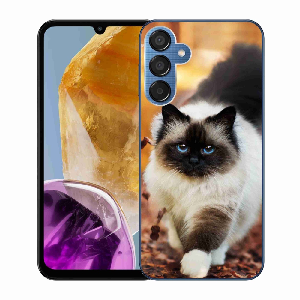 Gél tok mmCase a Samsung Galaxy M15 5G készülékhez - macska