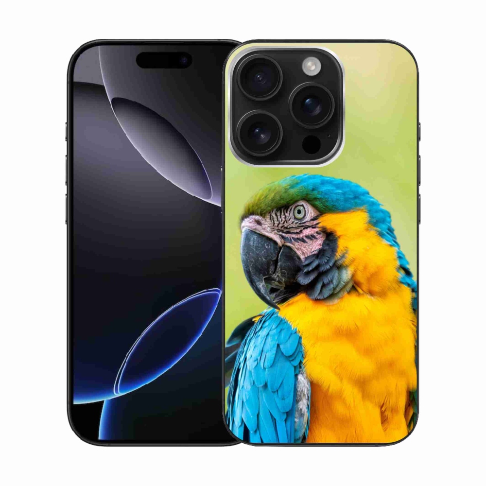 Gél tok mmCase iPhone 16 Pro készülékhez - papagáj ara 2