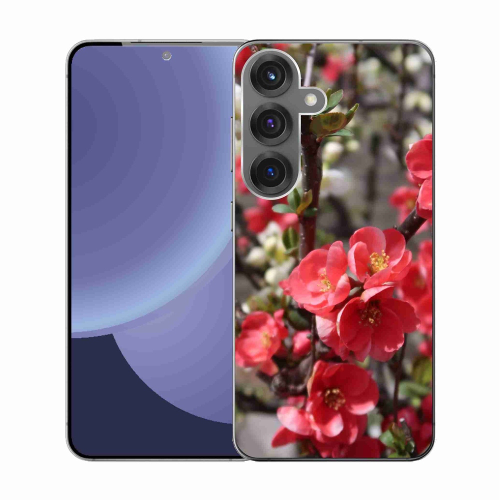 Gél védőhuzat mmCase Samsung Galaxy S25 készülékhez - piros virágok