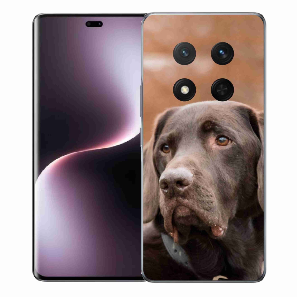 Gél borítás mmCase a Honor Magic 7 Lite 5G készülékhez - barna labrador