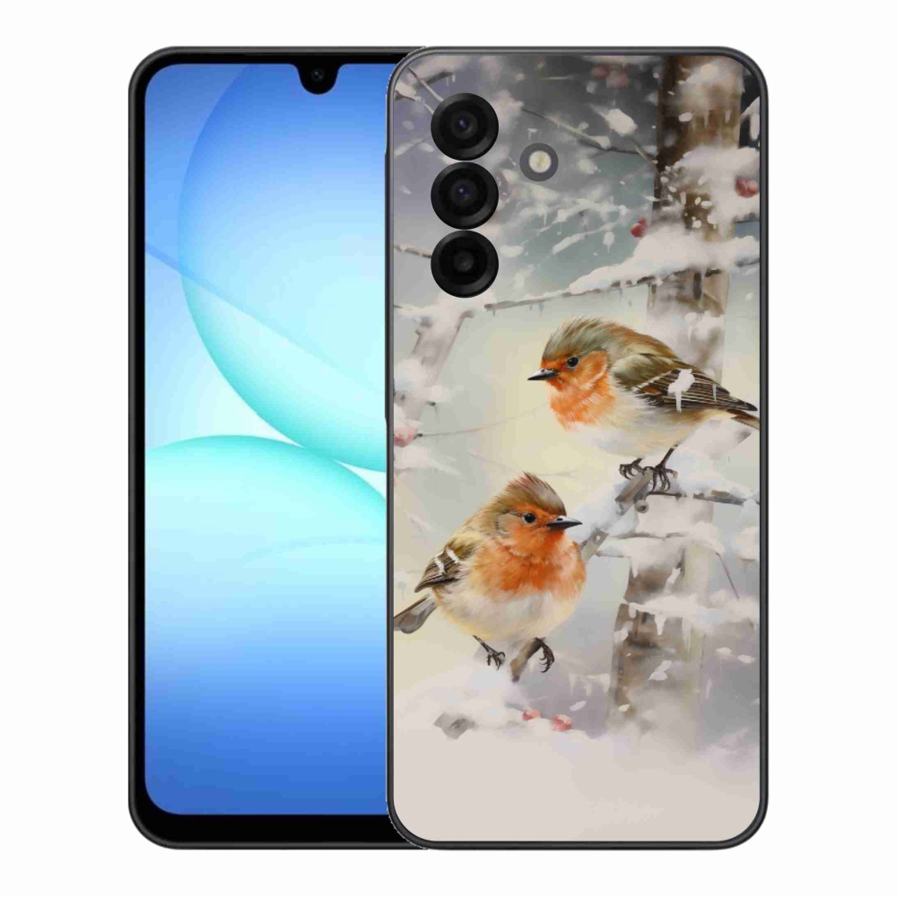 Gél borítás mmCase Samsung Galaxy A17 5G - madarak télen