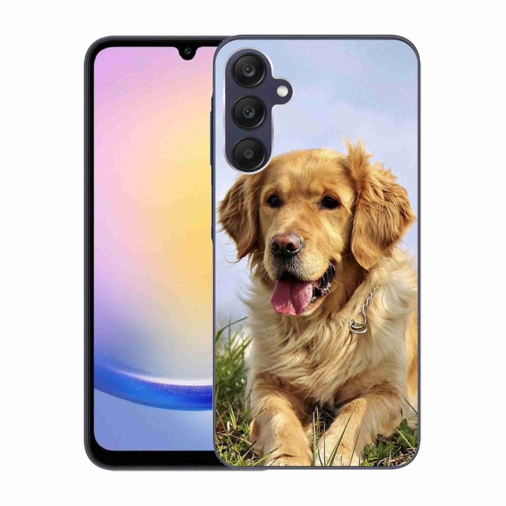Gél tok mmCase Samsung Galaxy A25 5G - arany retrieverhez