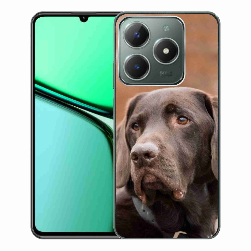 Gél tok mmCase a Realme C61 készülékhez - barna labrador