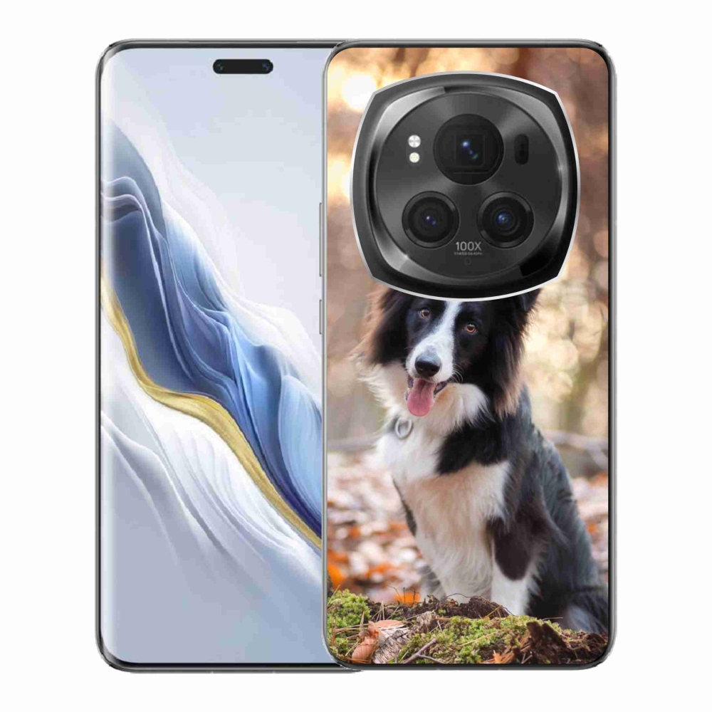 Gél tok mmCase a Honor Magic 6 Pro 5G készülékhez - border collie 1