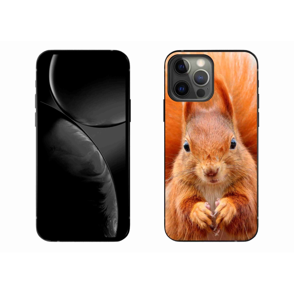 Zselés borítás mmCase iPhone 13 Pro Max 6.7 - mókus - iPhone 13 Pro Max számára