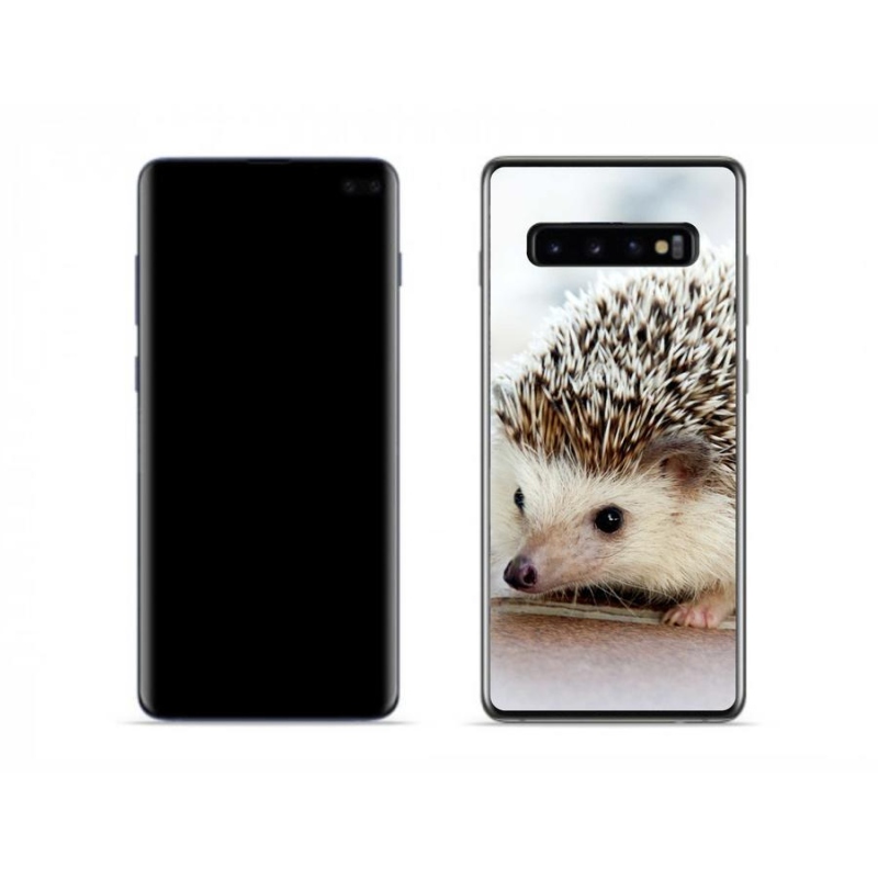 Gél tok mmCase Samsung Galaxy S10 készülékhez - sündisznó