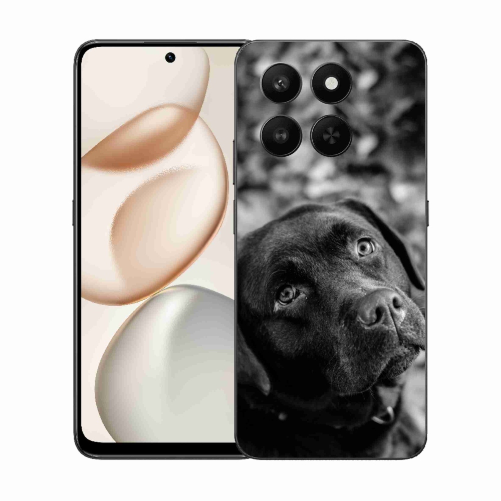 Zselés borítás mmCase a Honor 400 Smart 5G/4G/Honor X7d készülékhez - labrador