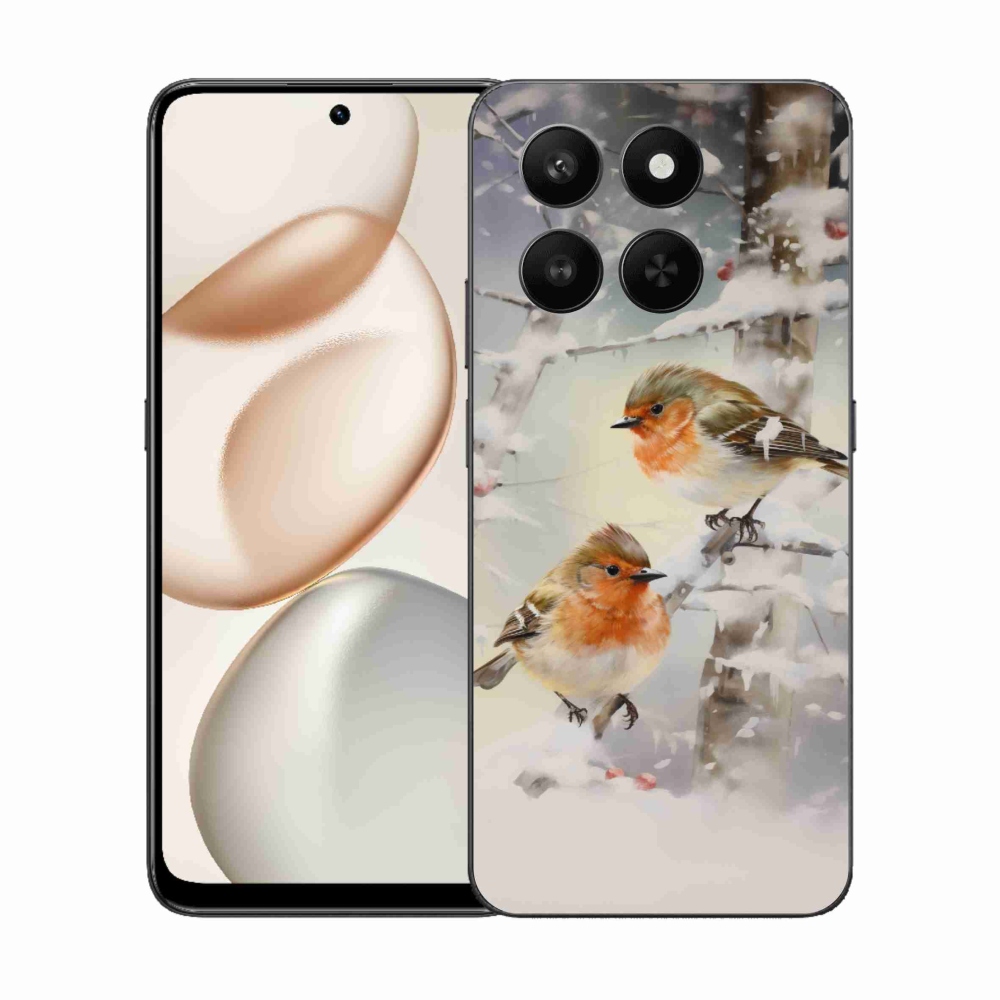 Zselés borítás mmCase a Honor 400 Smart 5G/4G/Honor X7d számára - madarak télen