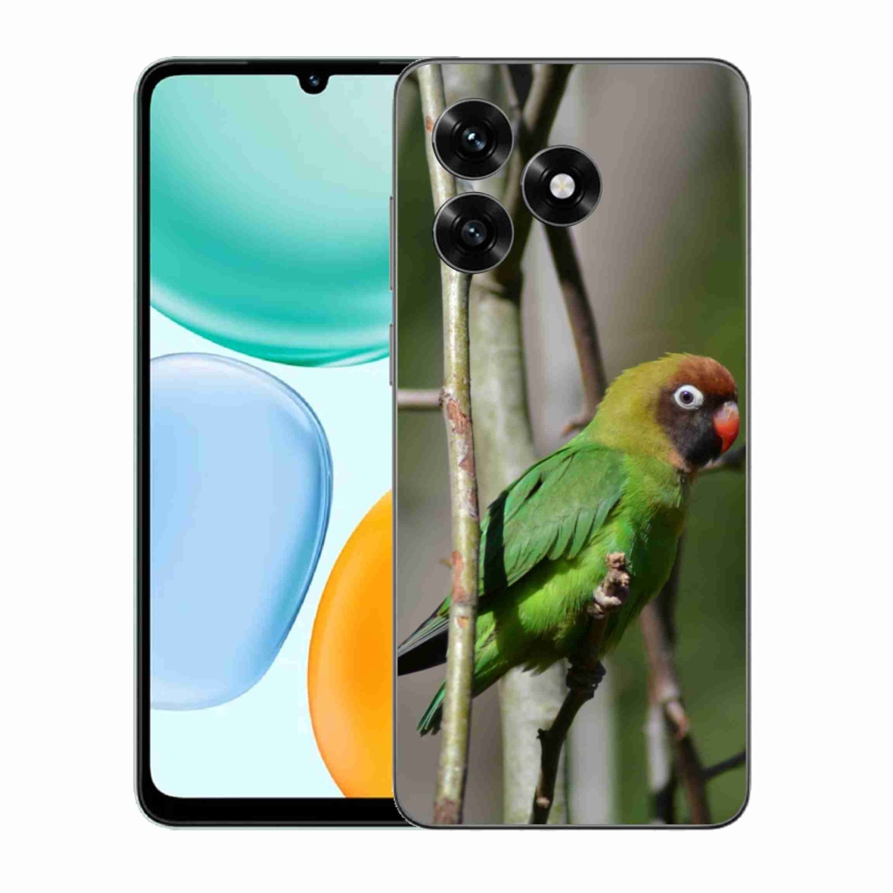 Zselés borítás mmCase a Honor X5c Plus számára - papagáj agapornis