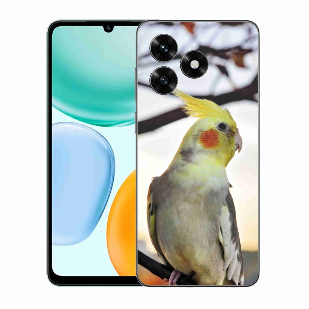 Zselés borítás mmCase a Honor X5c Plus számára - papagáj korela