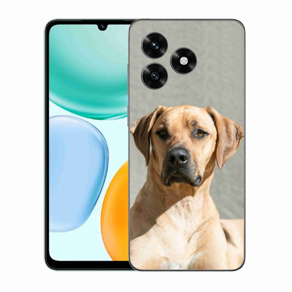 Gél borítás mmCase a Honor X5c Plus számára - ridgeback