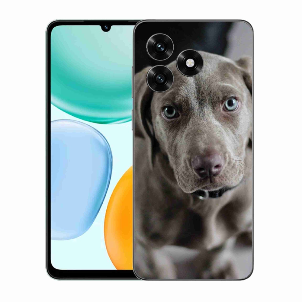 Gél borítás mmCase a Honor X5c Plus számára - Exotic Hound