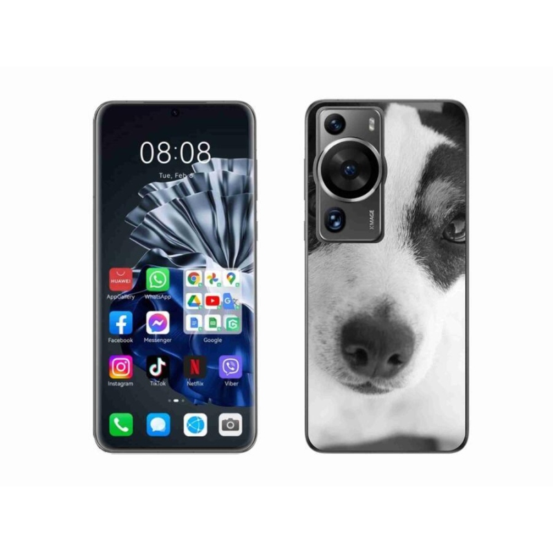 Gél borítás mmCase a Huawei P60 Pro készülékhez - kutya