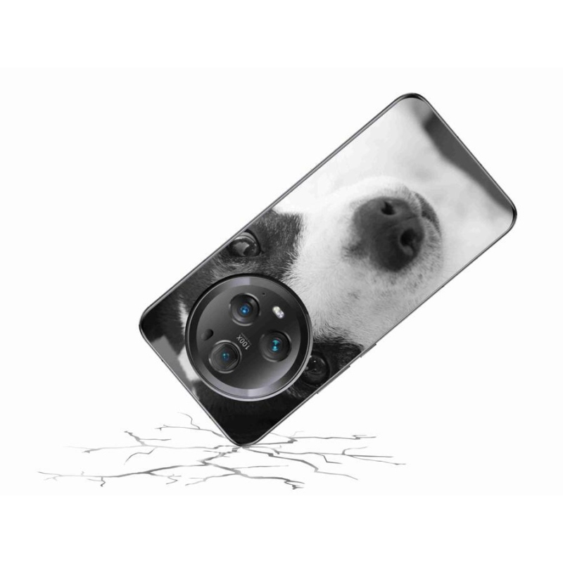 Gél borítás mmCase a Honor Magic 5 Pro 5G készülékhez - kutya