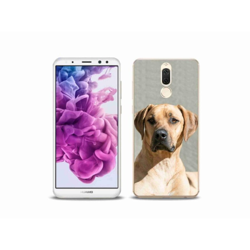 Gél borítás mmCase a Huawei Mate 10 Lite készülékhez - ridgeback