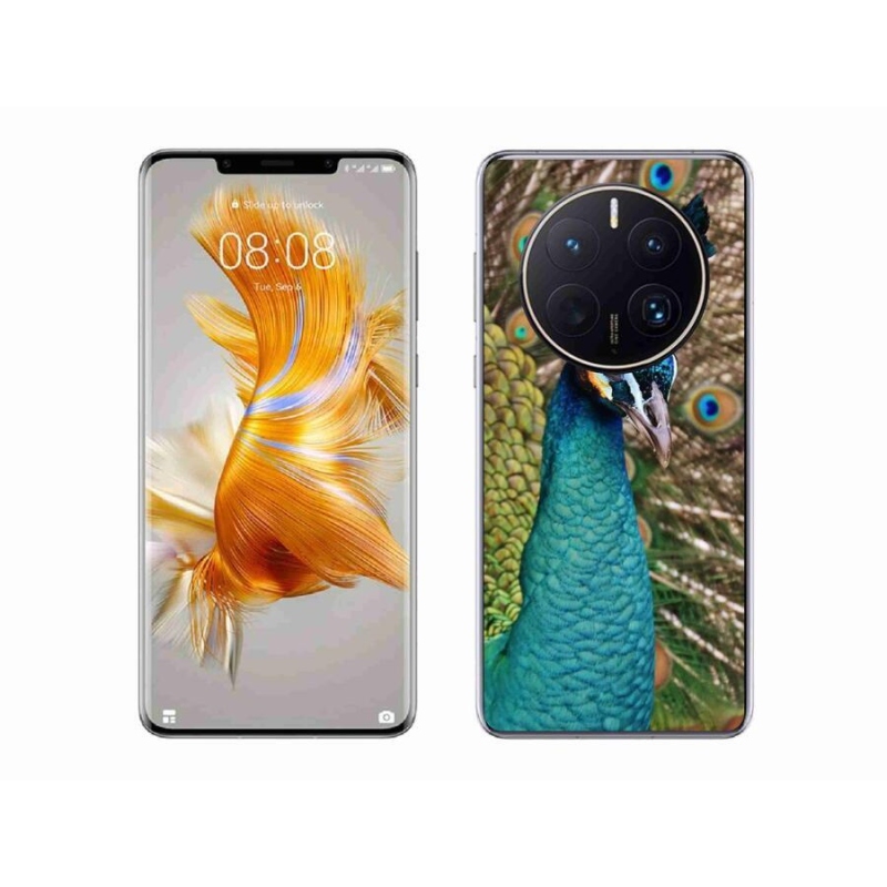 Zselés borítás mmCase a Huawei Mate 50 Pro készülékhez - páva