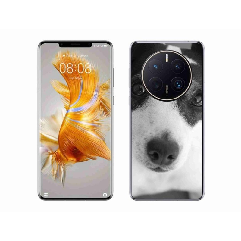 Gél védőhuzat mmCase a mobil Huawei Mate 50 Pro - kutyához