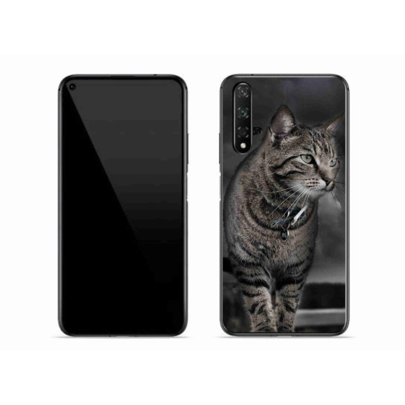 Gél borítás mmCase a Huawei Nova 5T-hez - macska