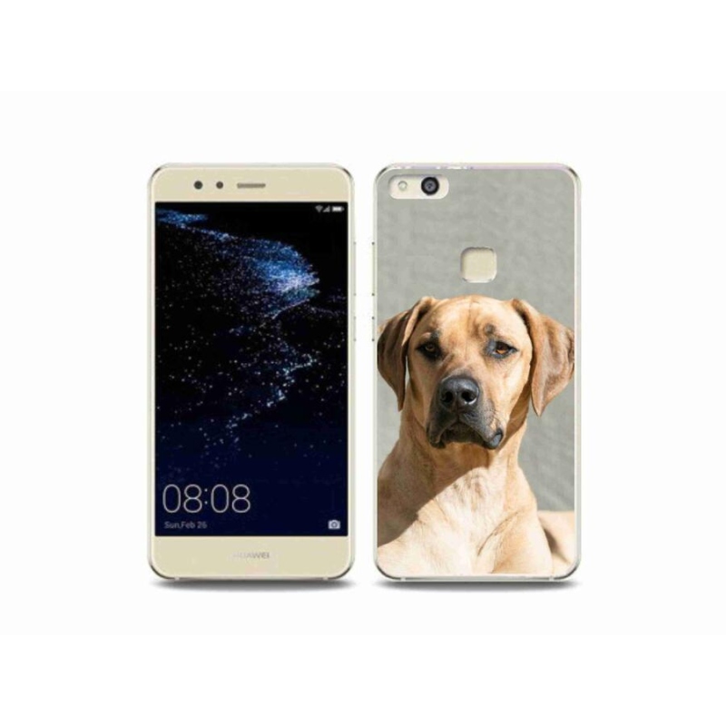 Gél borítás mmCase a Huawei P10 Lite készülékhez - ridgeback
