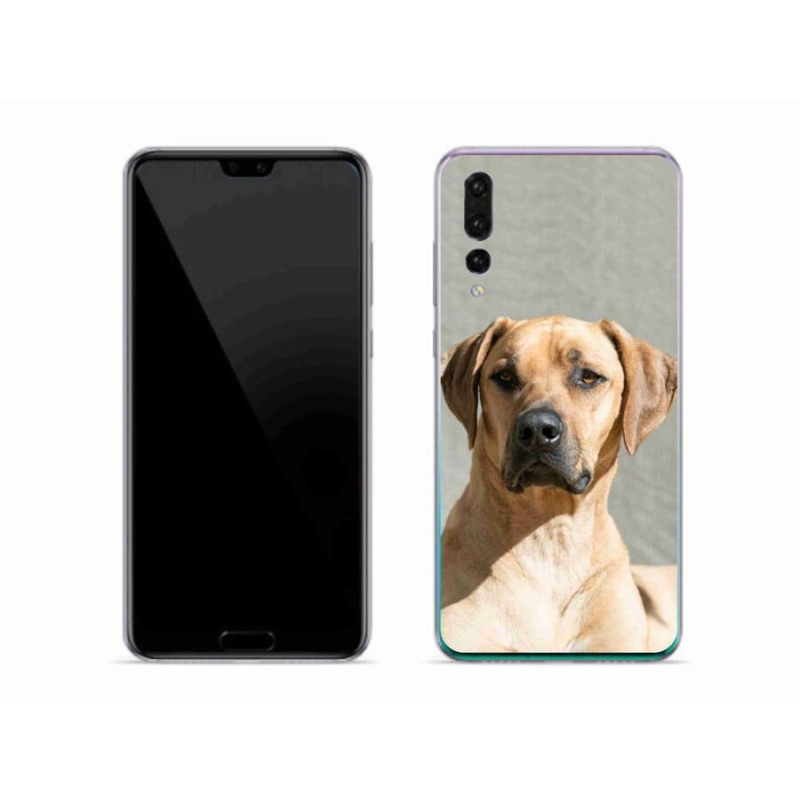 Gél borítás mmCase a Huawei P20 Pro készülékhez - ridgeback