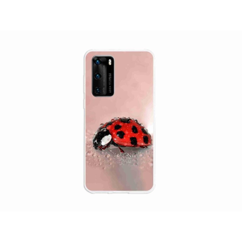 Gél borító mmCase a Huawei P40 készülékhez - katicabogár
