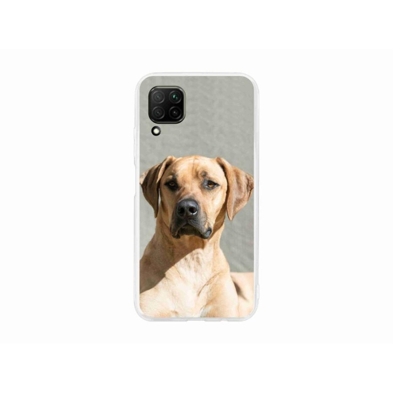 Gél borítás mmCase a Huawei P40 Lite készülékhez - ridgeback
