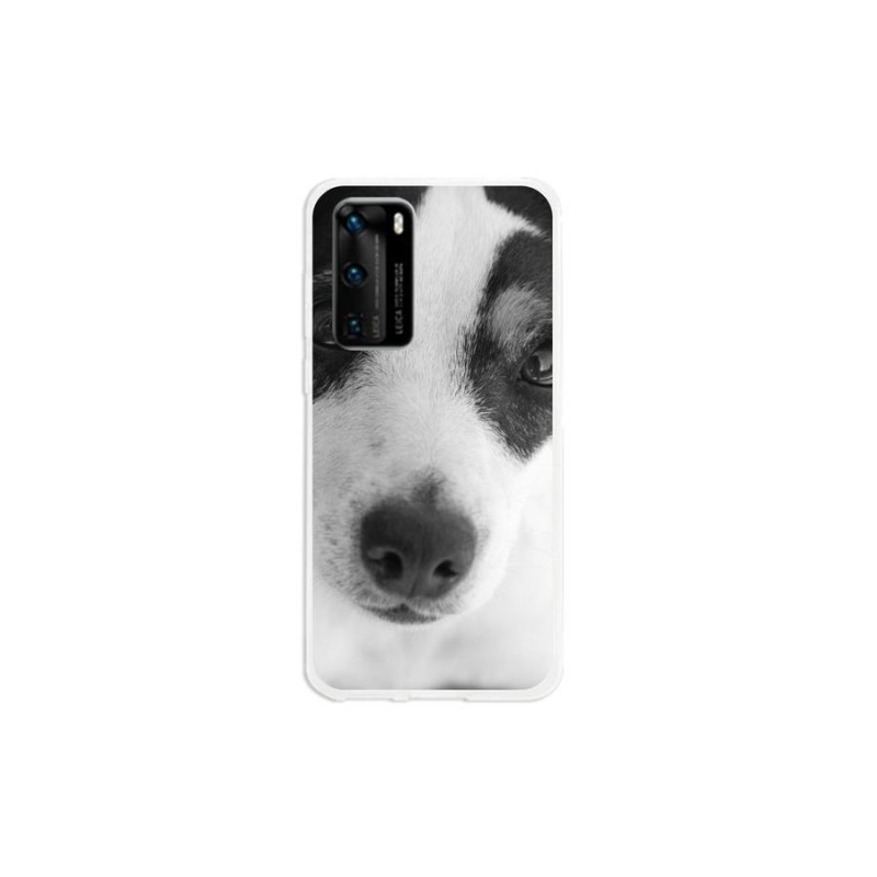 Gél borítás mmCase mobil Huawei P40 - kutya