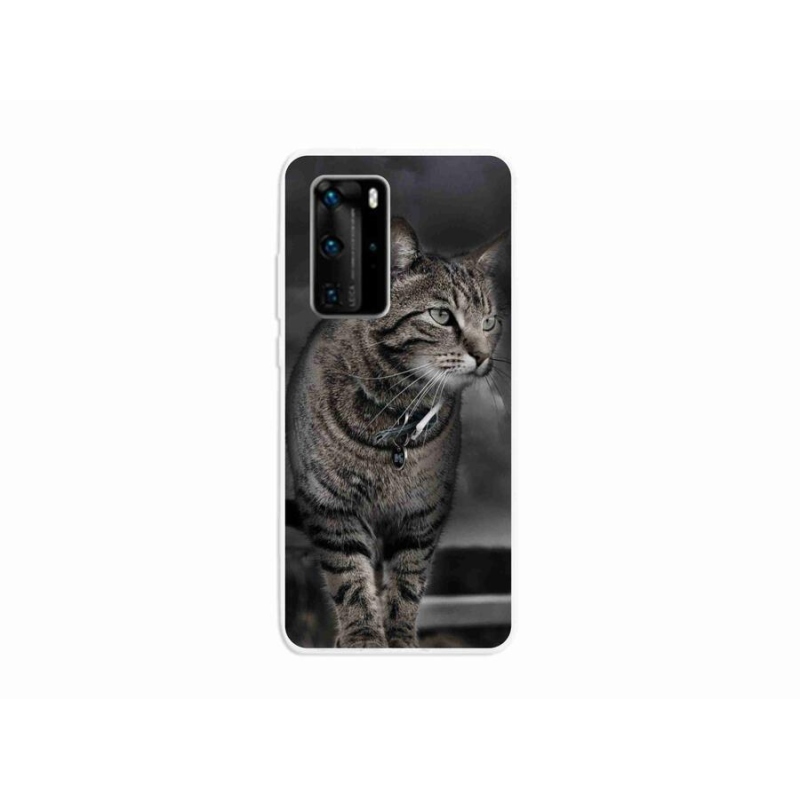 Zselés borítás mmCase a Huawei P40 Pro készülékhez - macska