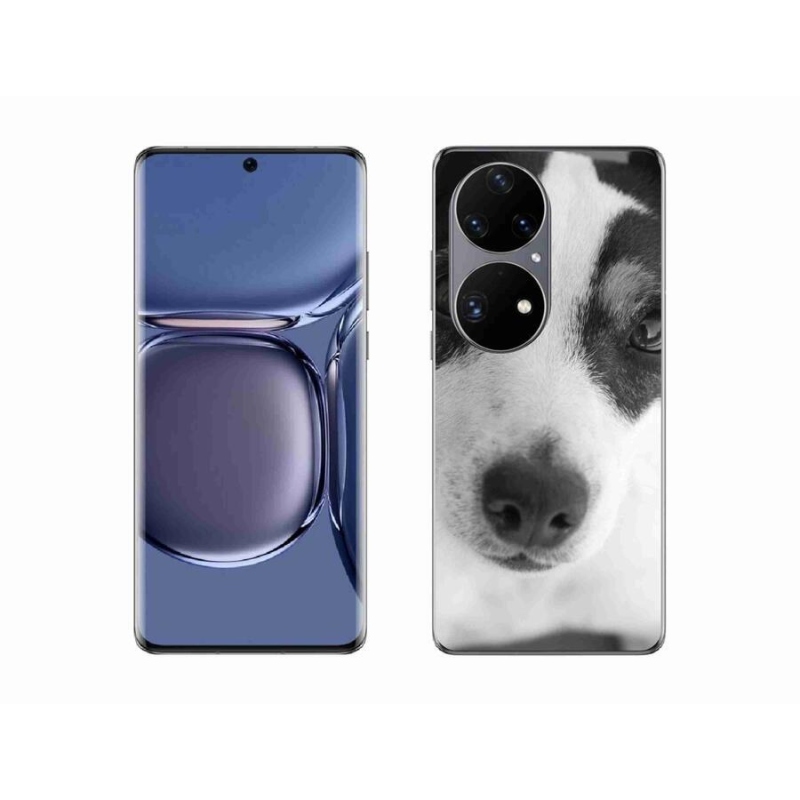 Zselés borítás mmCase a mobil Huawei P50 Pro - kutyához