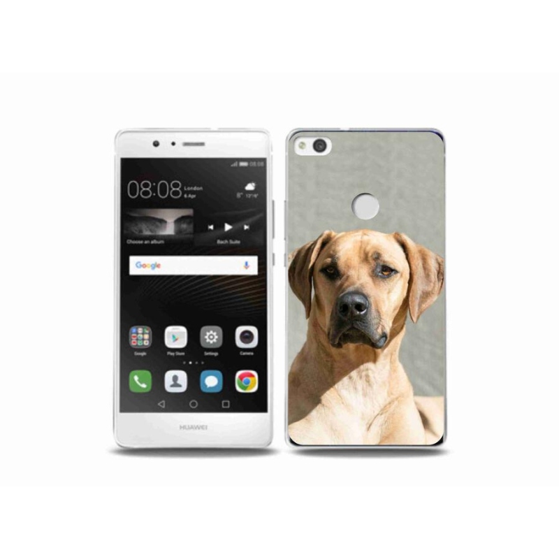 Gél borítás mmCase a Huawei P9 Lite (2017) számára - ridgeback