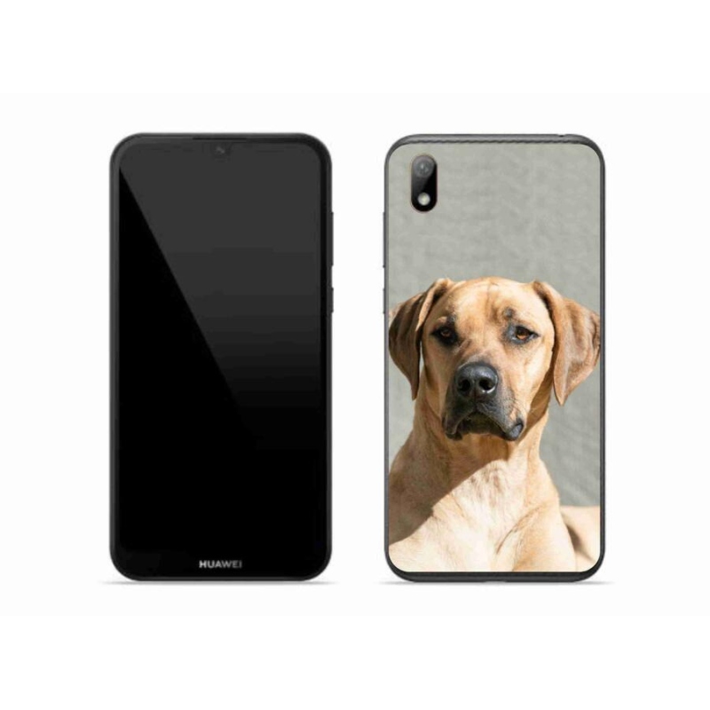 Gél borítás mmCase a Huawei Y5 (2019) számára - ridgeback