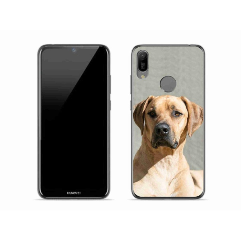 Gél borítás mmCase a Huawei Y6 (2019) számára - ridgeback