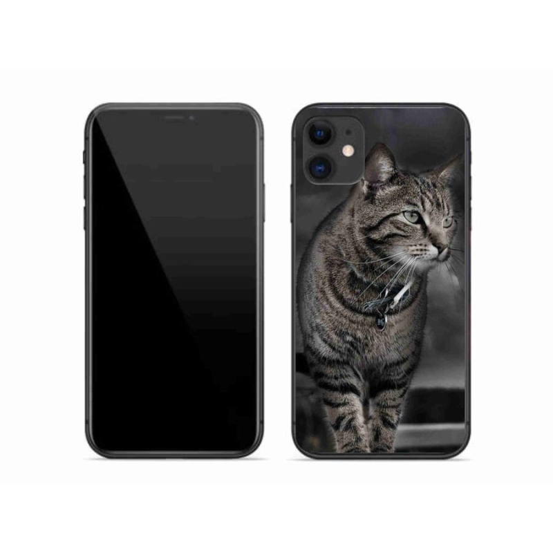 Zselés borítás mmCase iPhone 11 készülékhez - macska
