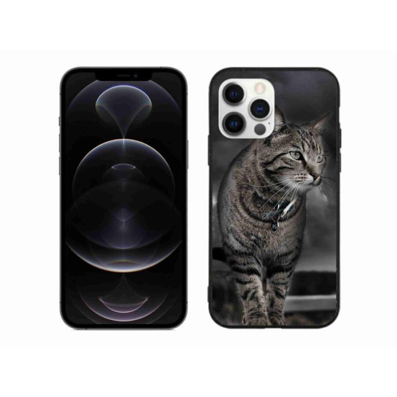 Zselés borítás mmCase iPhone 12 Pro Max készülékhez - macska