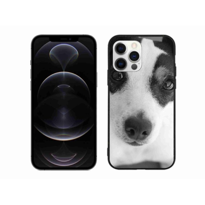 Gél védőburkolat mmCase iPhone 12 Pro Max készülékhez - kutya